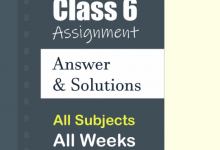Class 6 3rd Week Assignment