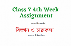 Class 7 4th Week Assignment