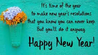 happy new year wishes quotes