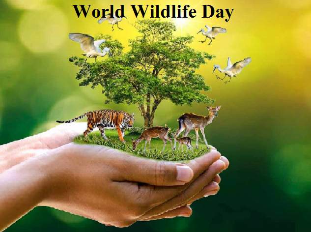 World Wildlife Day Images