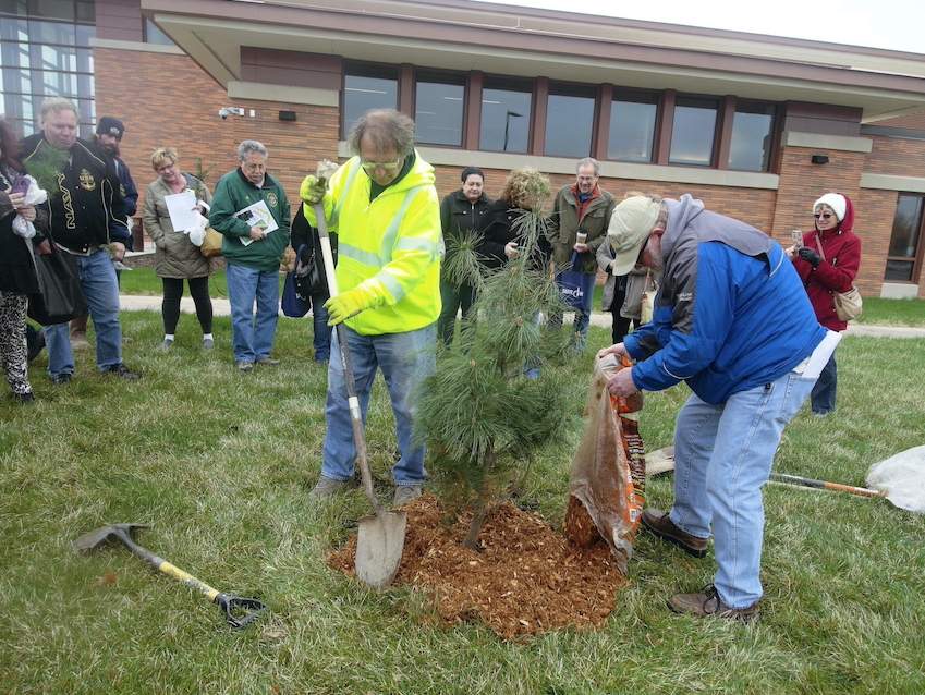 Arbor Day Pic