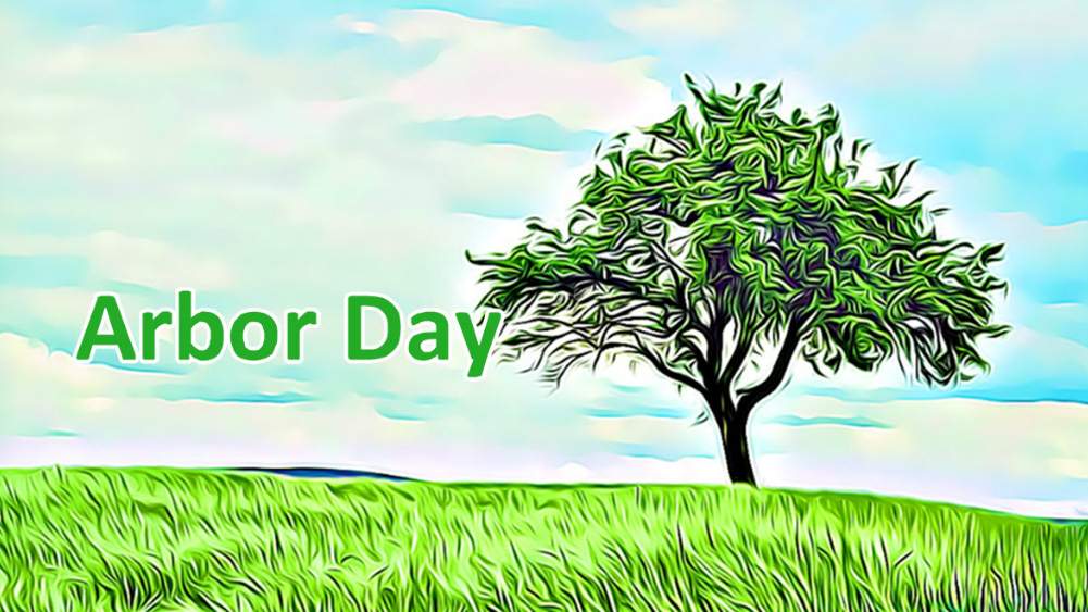 Happy Arbor Day 