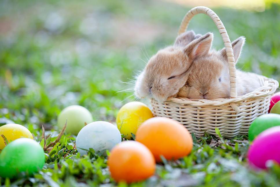 happy-easter-2022-wishes-messages-images-greetings-for-friends