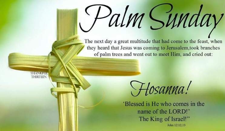 Happy Palm Sunday 
