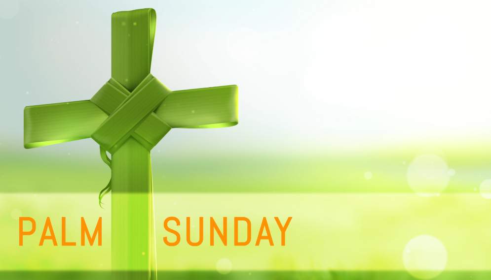 Happy Palm Sunday 2024 Catholic HD Images, Wishes & Quotes