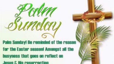Wishes palm Sunday