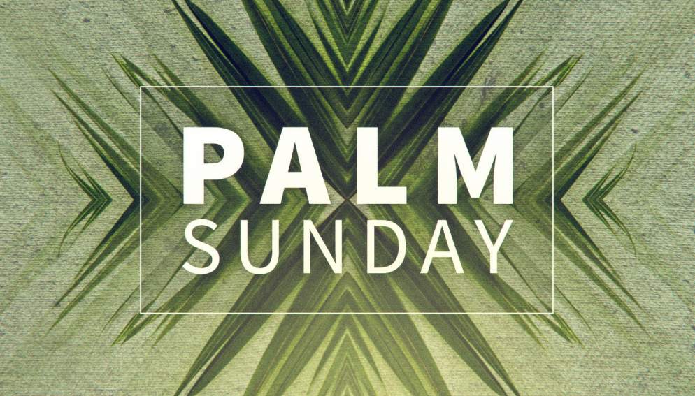 Wishing Palm Sunday Pic