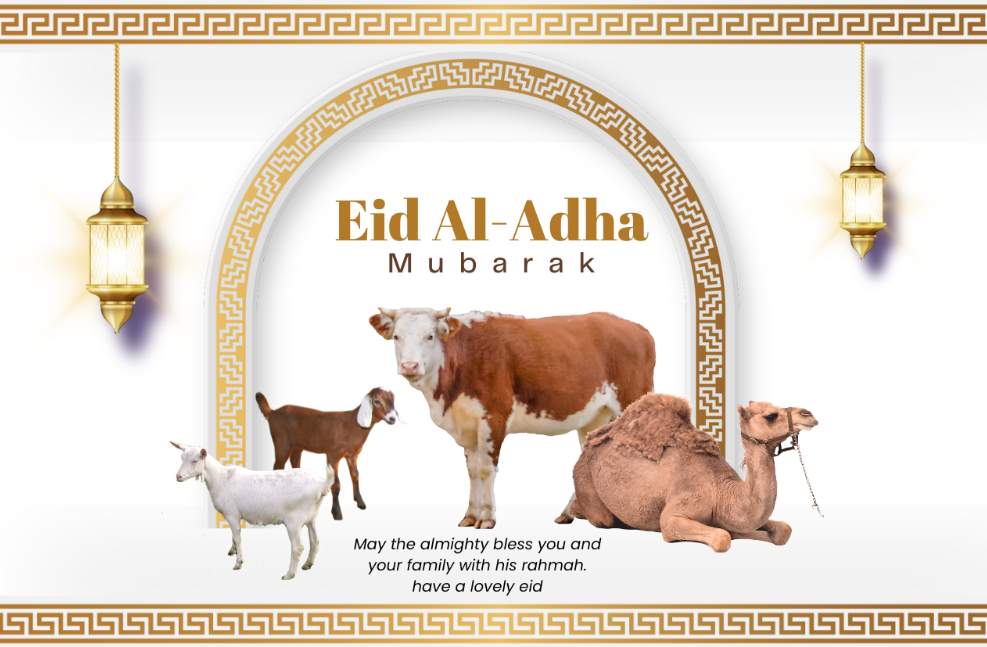 Happy Eid-ul-Adha Day