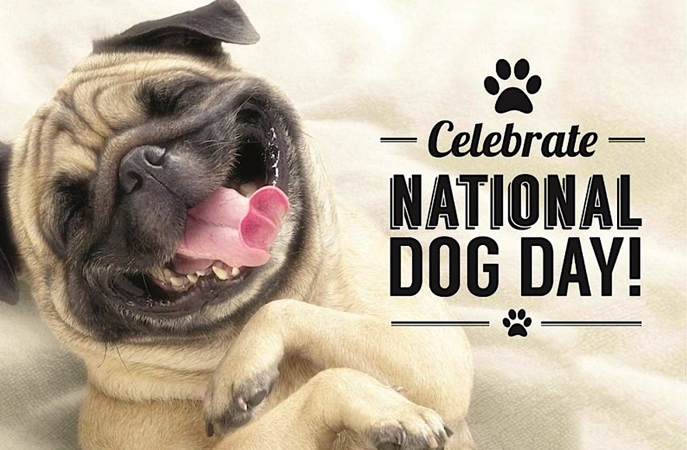 Happy National Dog Day 