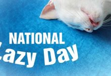 National Lazy Day