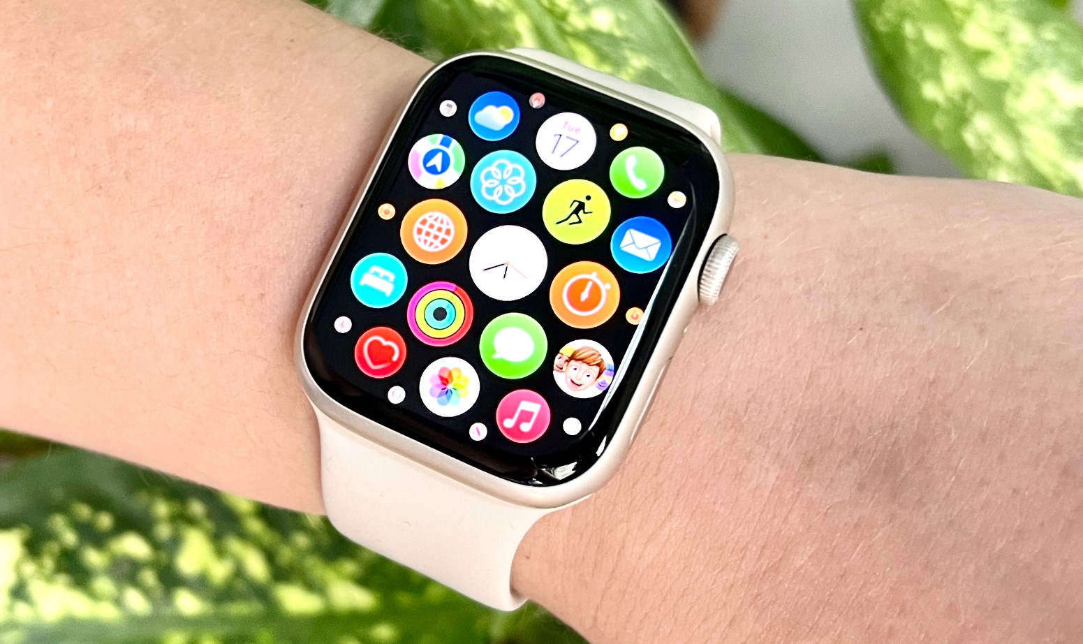 Apple watch 8