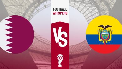 Qatar vs Ecuador Predictions World Cup