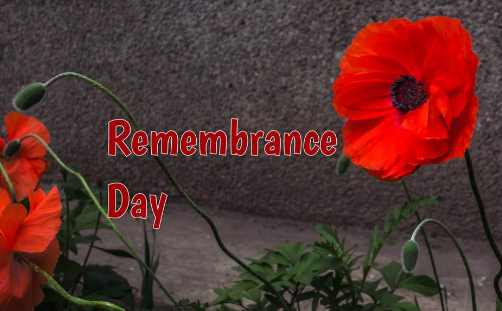 Remembrance Day 2023 Canada