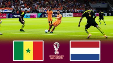 Senegal vs Netherlands 2022 Live
