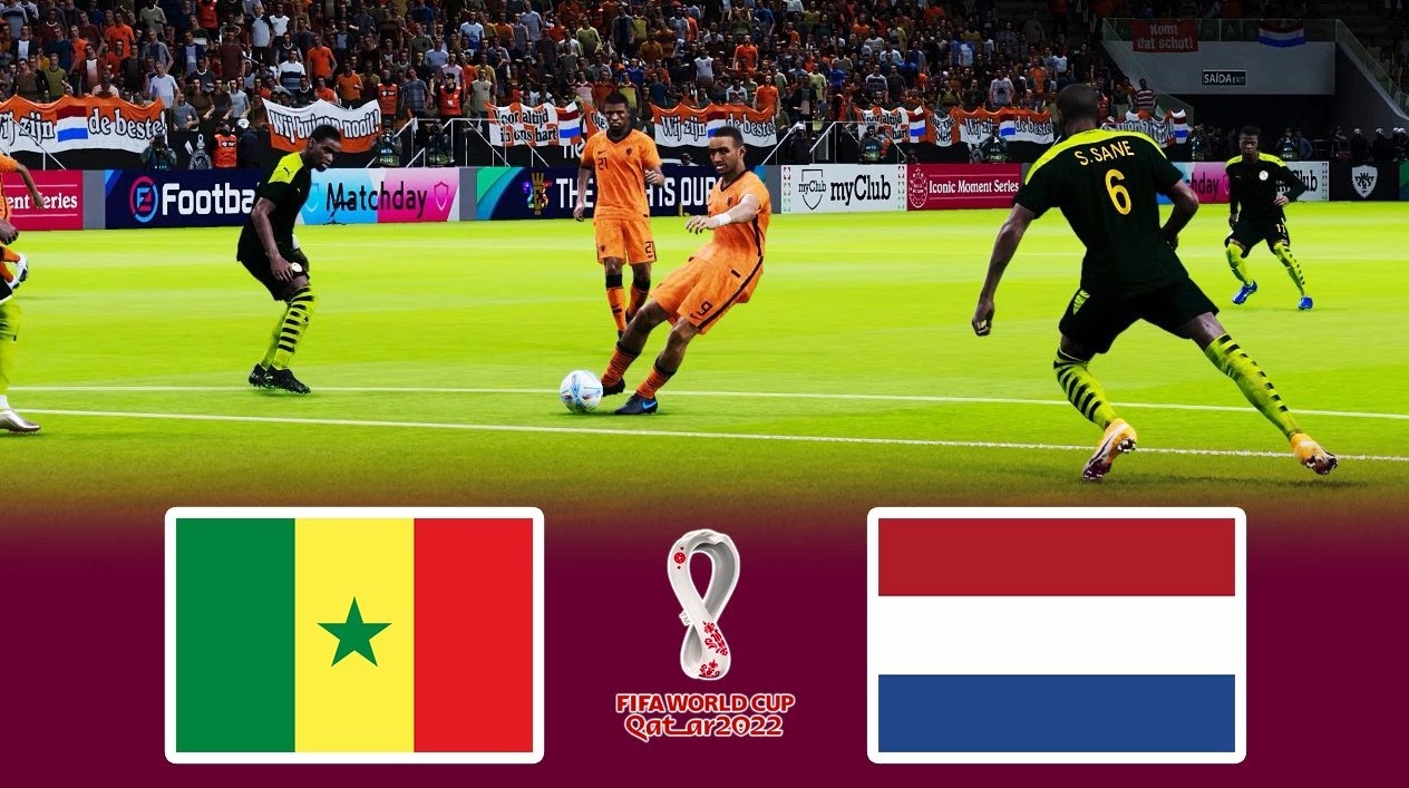 Senegal vs Netherlands 2022 Live