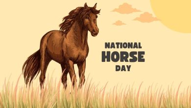 National Day of the Horse