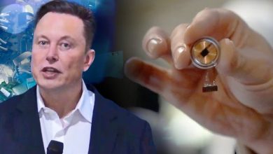 Elon Musk Neuralink Release Date